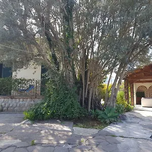 Serrano , Palermo Italia